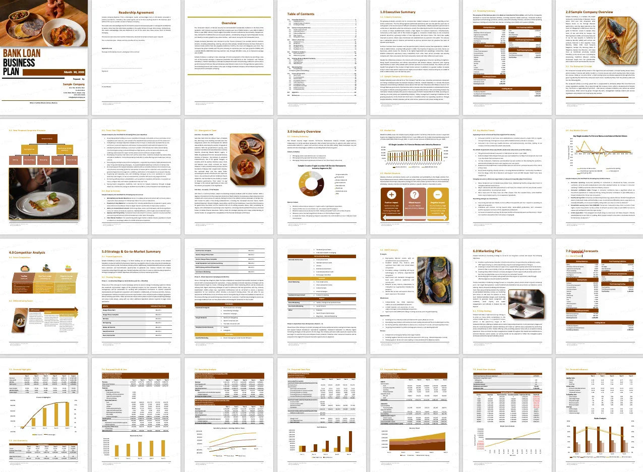 I will prepare an investor ready business plan