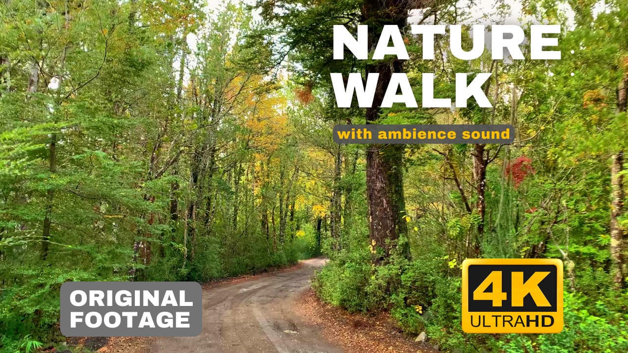 I will record walking videos in nature for youtube monetize- (1 x 5 minutes)