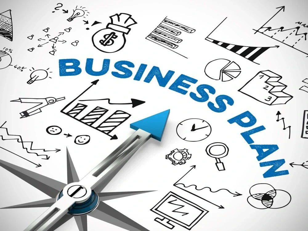 I will prepare a complete business plan, business proposal, pitch deck, grants