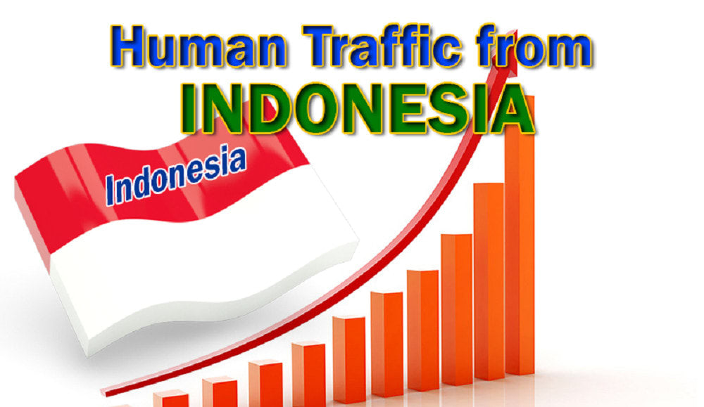 I will direct organic website visits from indonesia