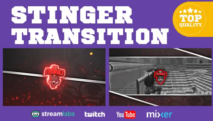I will create stinger transition screen for kick twitch youtube gaming