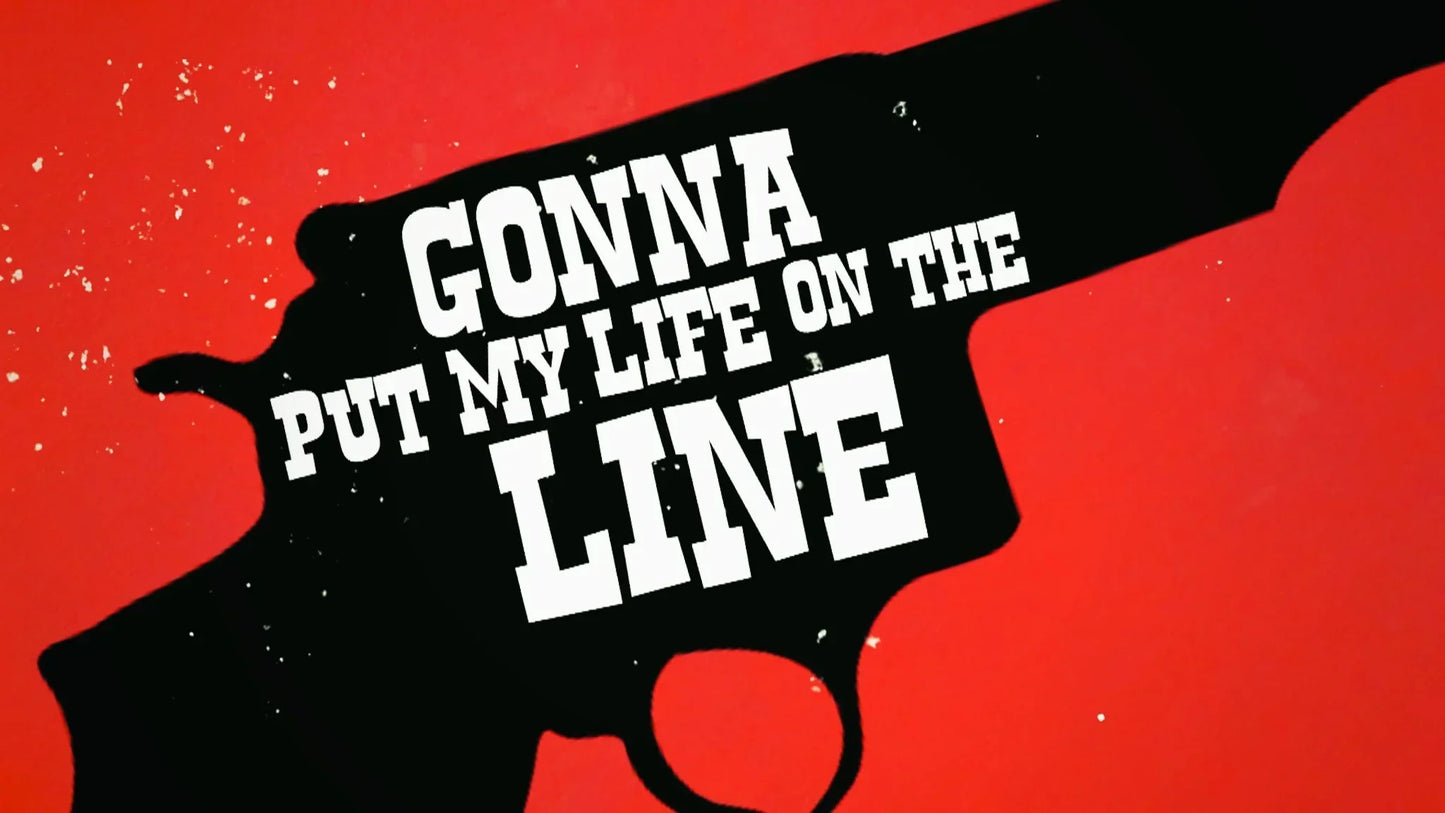 I will create a professional animated lyric video for your song