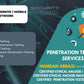 I will do penetration test on your website and provide detailed penetration test report
