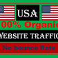 I will supply organic USA traffic to your website, video