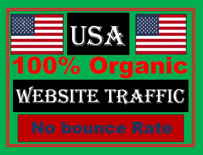 I will supply organic USA traffic to your website, video