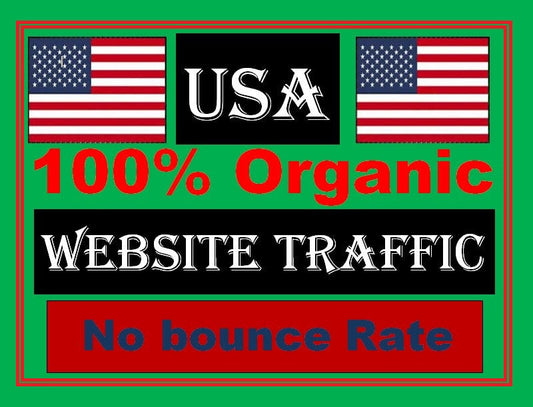 I will supply organic USA traffic to your website, video