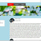 I will do professional java app programming and desktop application