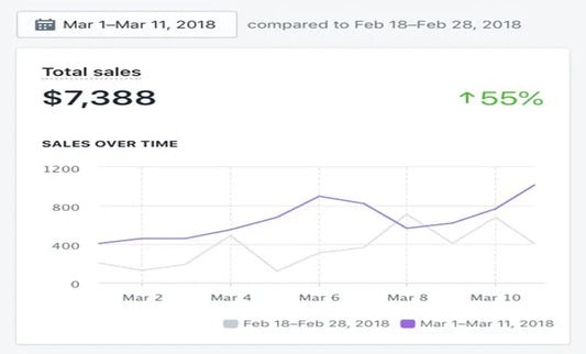 I will lead organic traffic to your website