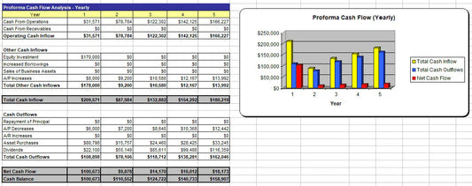 I will write a perfect five year business plan for you