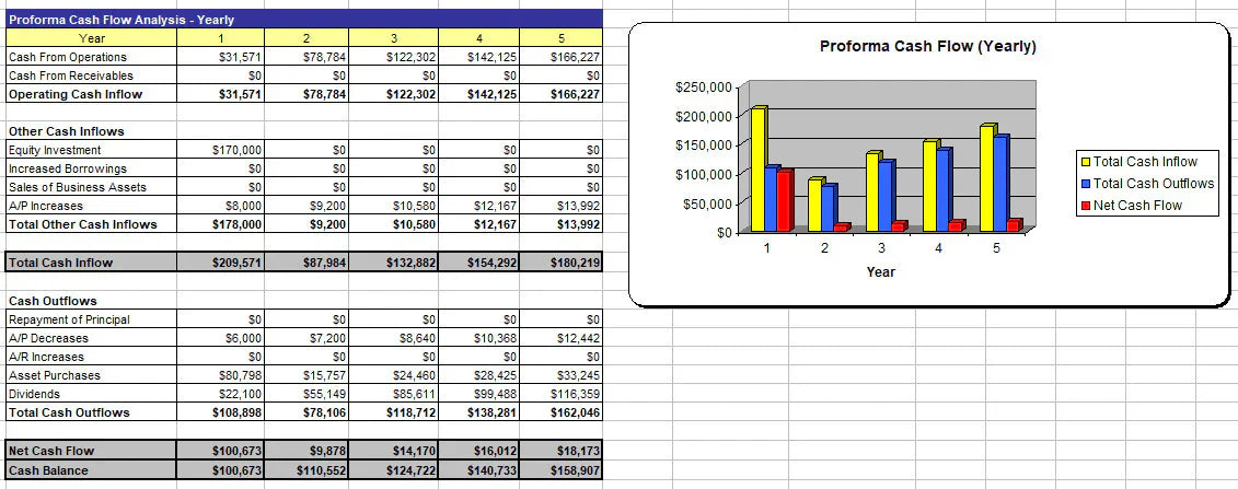 I will write a perfect five year business plan for you