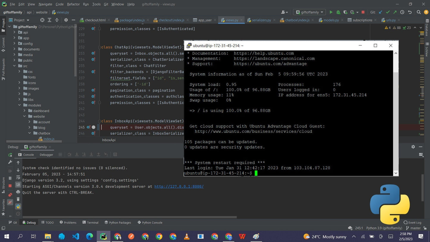 I will be your professional full stack python django web developer (2 pages)
