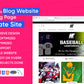 I will design modern wordpress website, blog site, landing page , affiliate site (1 page)