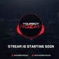 I will create an animated stream starting soon screen for twitch