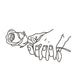 I will make a custom Line Art illustration
