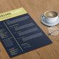 I will design an outstanding infographic resume CV design
