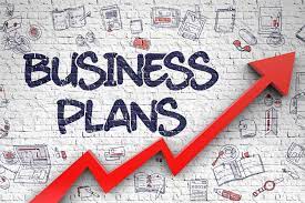 I will write a winning business plan for startup, loan, or investors