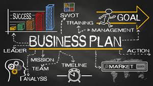 I will write a lucid and realistic business plan for your startups, business plan write