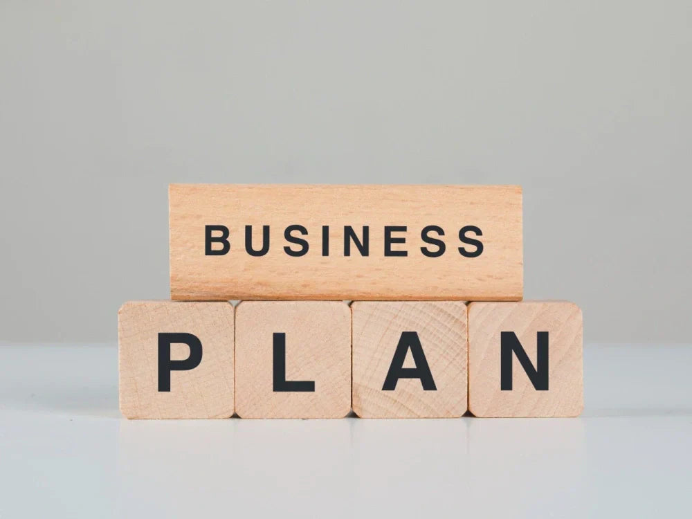 I will prepare a professional business plan for startups, business plan, financial plan