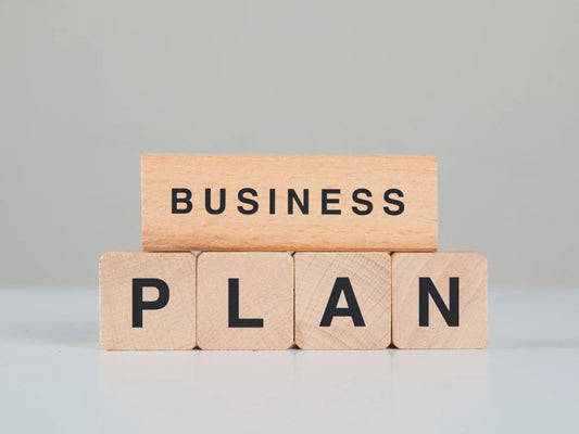 I will prepare a professional business plan for startups, business plan, financial plan