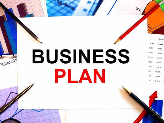 I will write a perfect five year business plan for you
