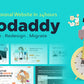 I will design your godaddy reseller storefront, basic and pro (10 pages)