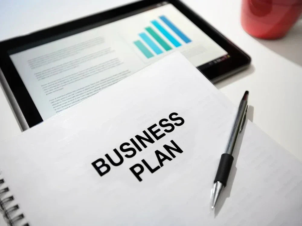I will write an investor ready business plan for startup, business proposal, grants