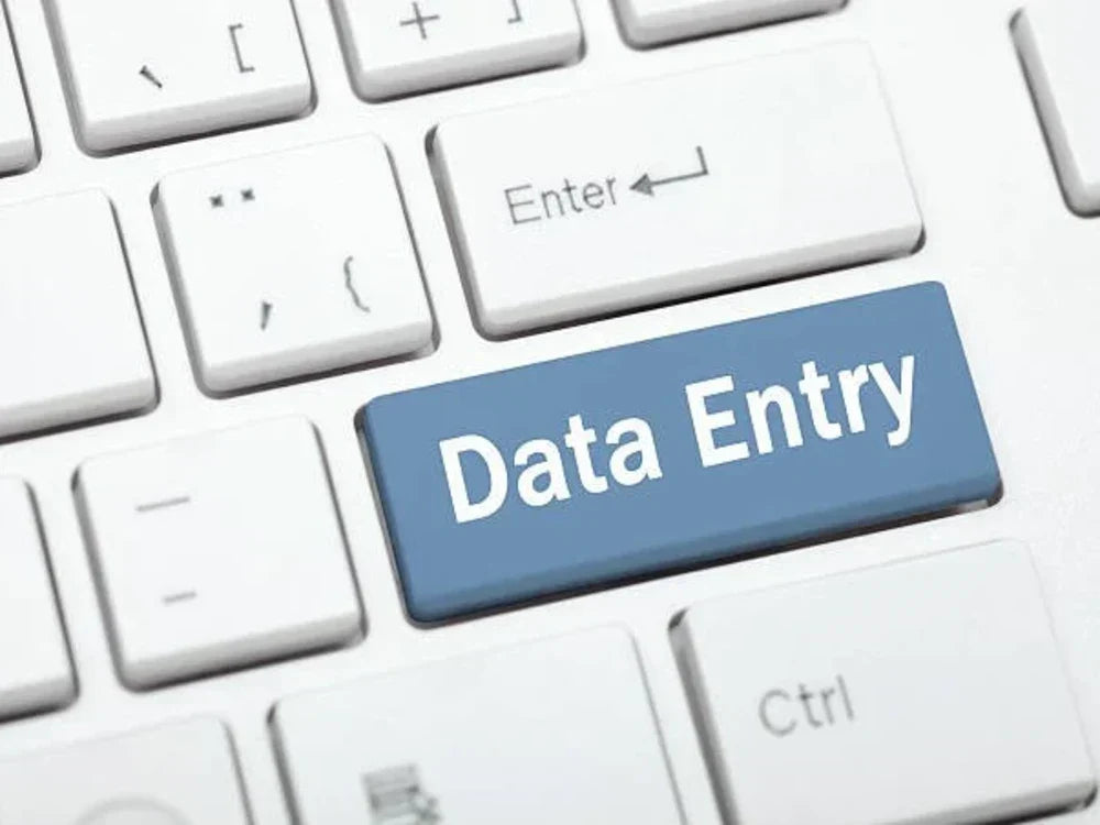 I will do data entry, data mining, web research, copy paste and excel data entry jobs-2 hour of work