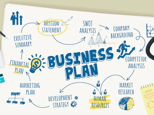 I will develop an investor ready financial model and business plan