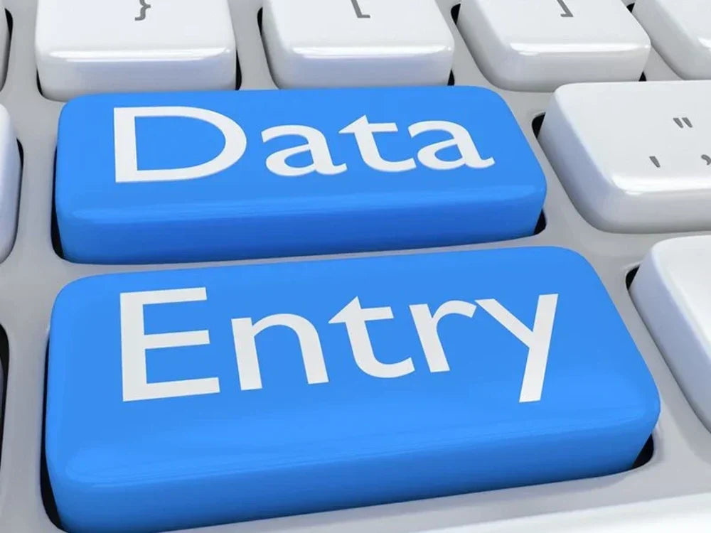 I will do excel data entry and web research, admin support, emails