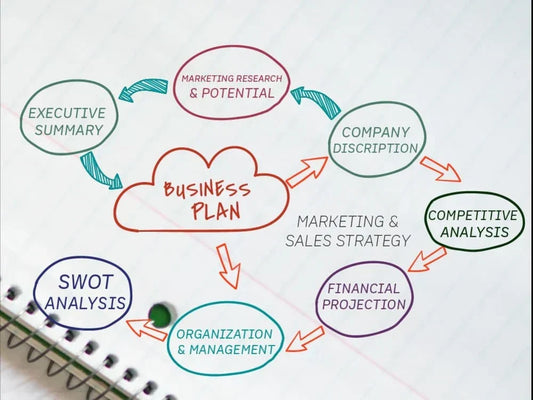 I will prepare an investor ready business plan for you